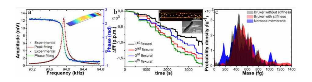 VIRUSCAN participation in the 8th Multifrequency AFM Conference. October 27-30th, 2020, Madrid (online conference).